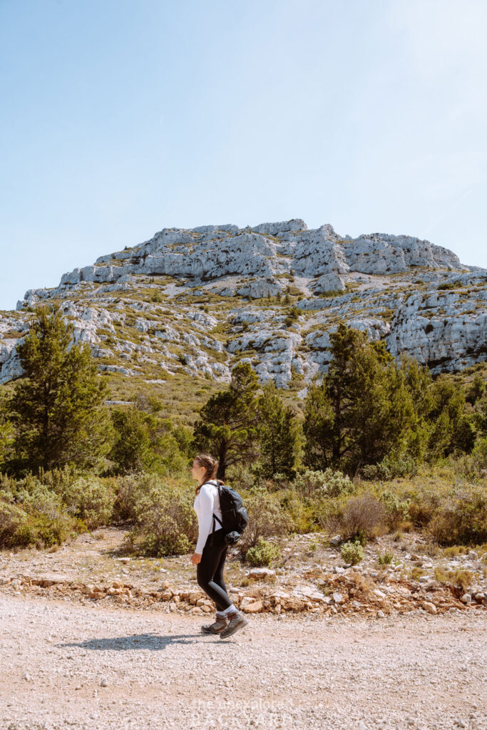 mont puget calanques