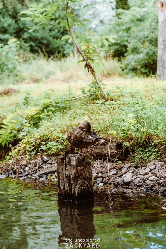 canal tour spreewald