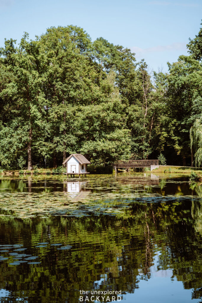 things to do in spreewald