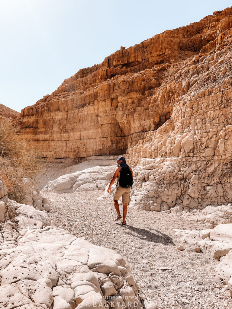 things to do at the dead sea