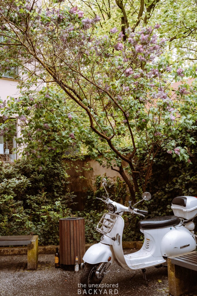 alternative things to do in berlin