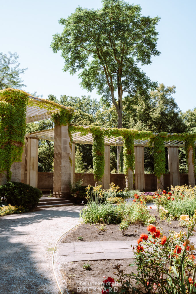 rose garden berlin