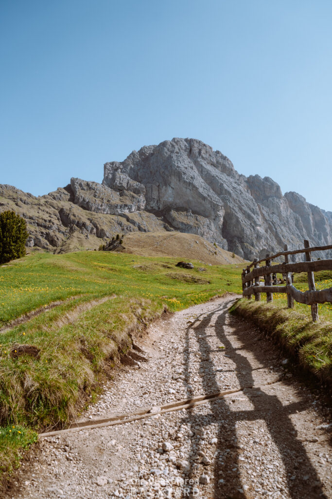 seceda the dolomites