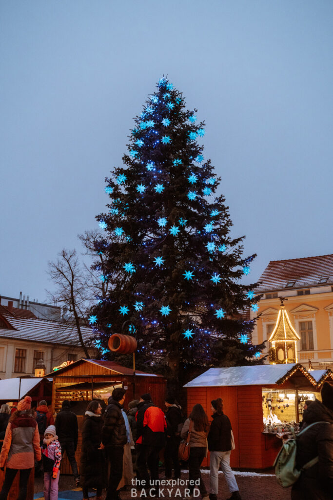 potsdam christmas market