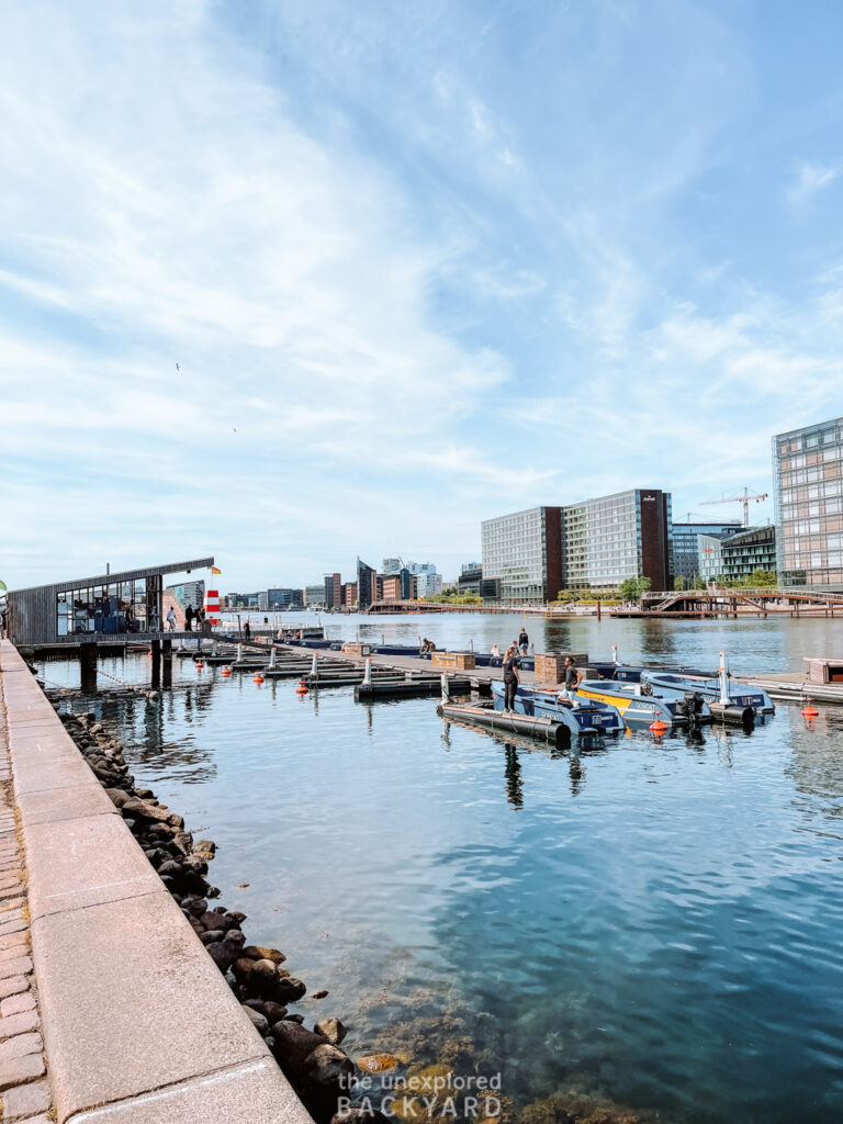 winter bathing in copenhagen