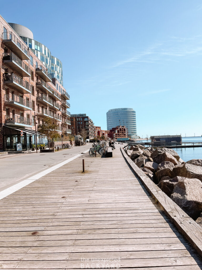 winter bathing in copenhagen