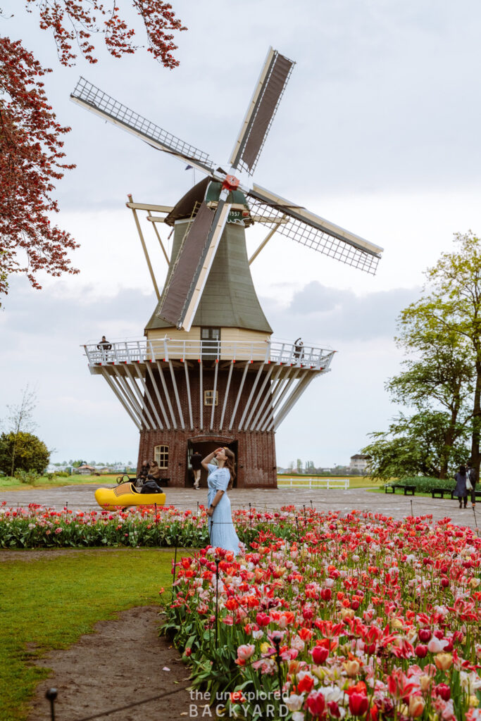 keukenhof windmill