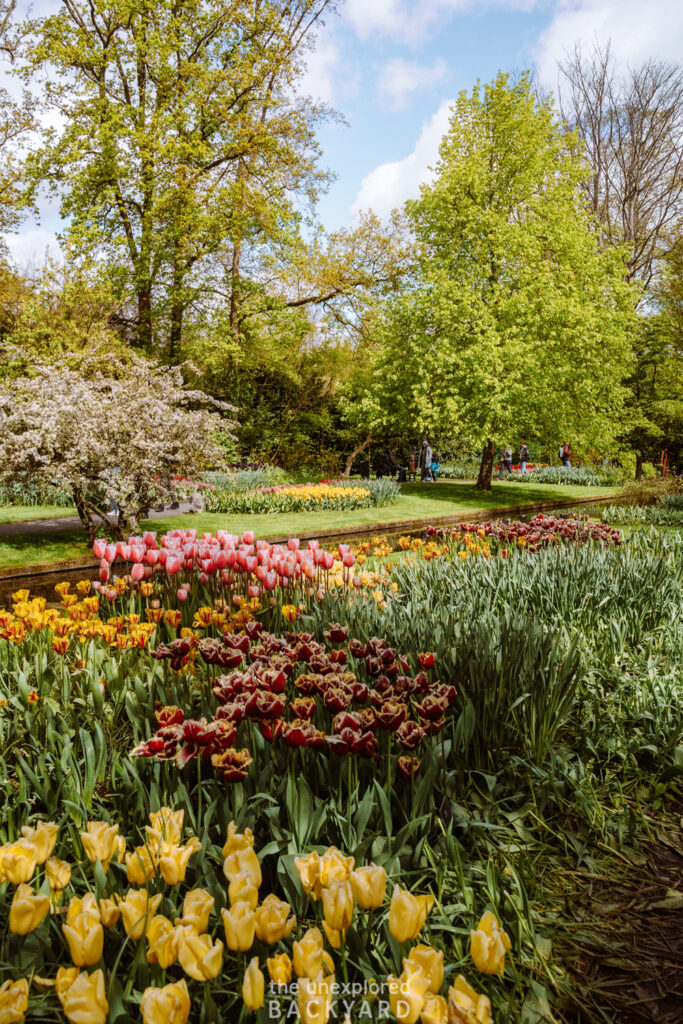 keukenhof gardens