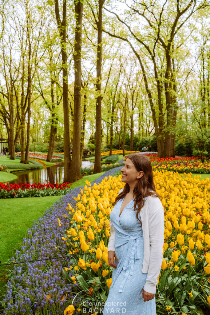 tulip gardens