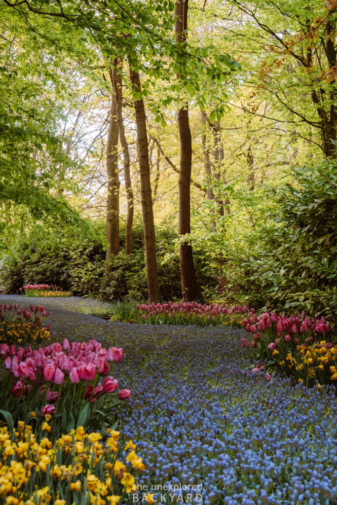 keukenhof gardens