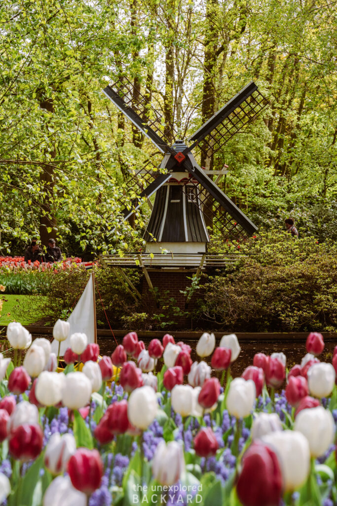 keukenhof gardens