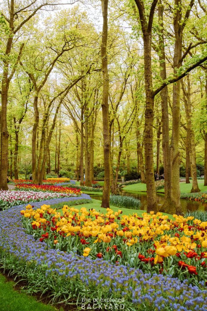 keukenhof gardens