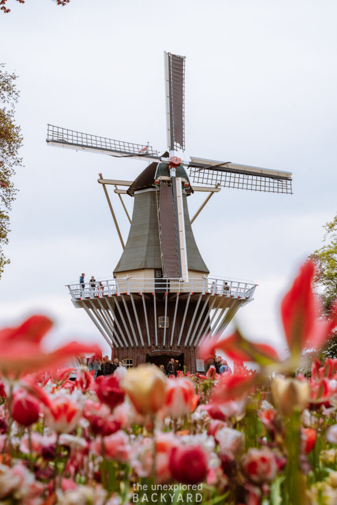 windmill at keukenhof