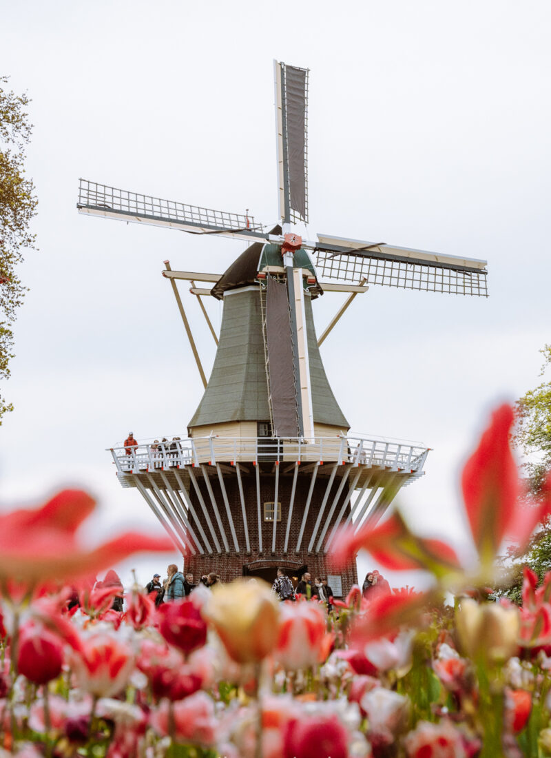 keukenhof gardens