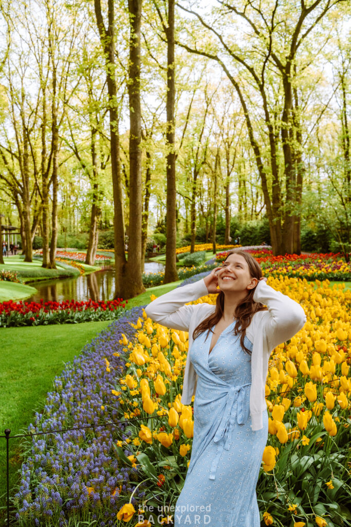 tulip season lisse