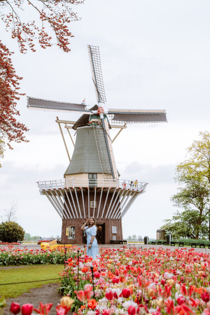 keukenhof gardens windmill