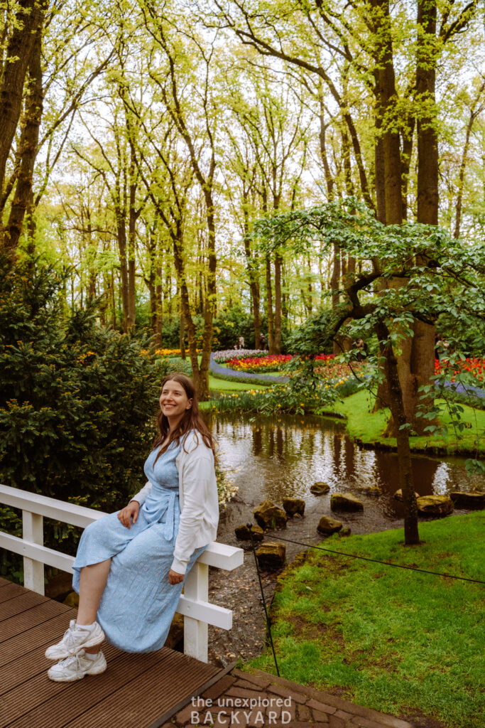 photo spots at keukenhof gardens