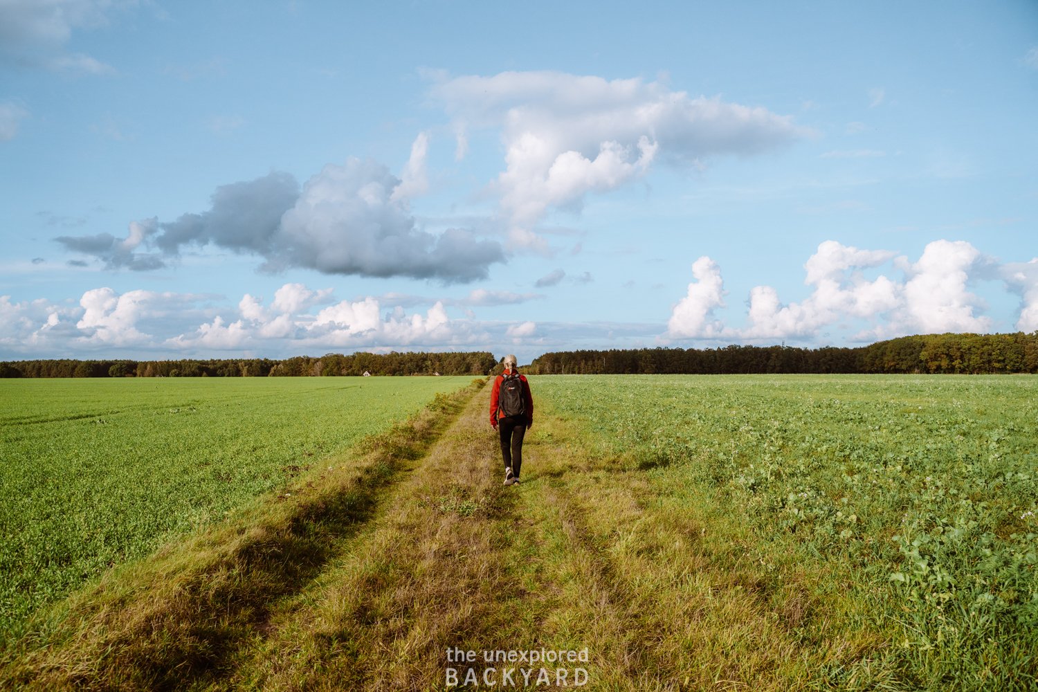 kromlau germany saxony