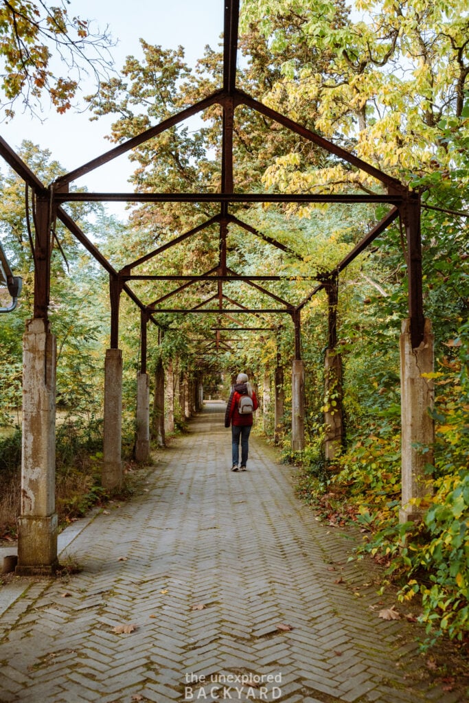 day trips from berlin