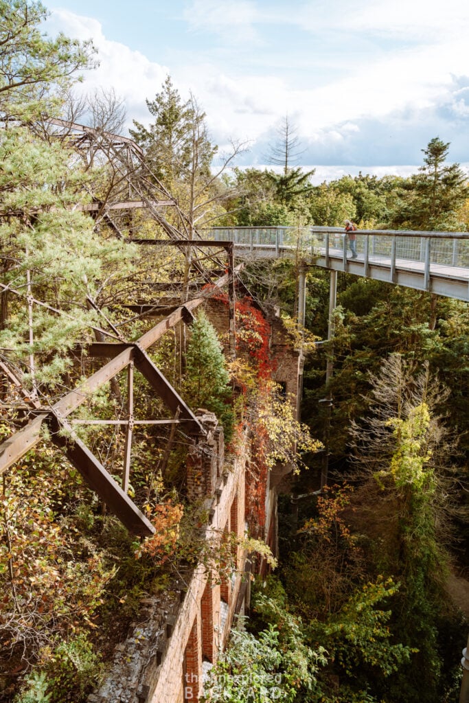 day trips from berlin