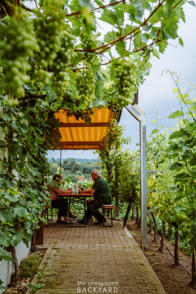 day trips from berlin