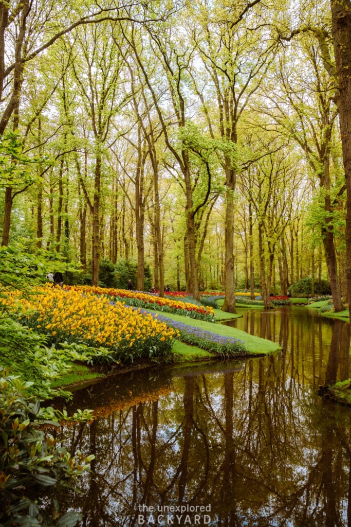 keukenhof gardens and lisse