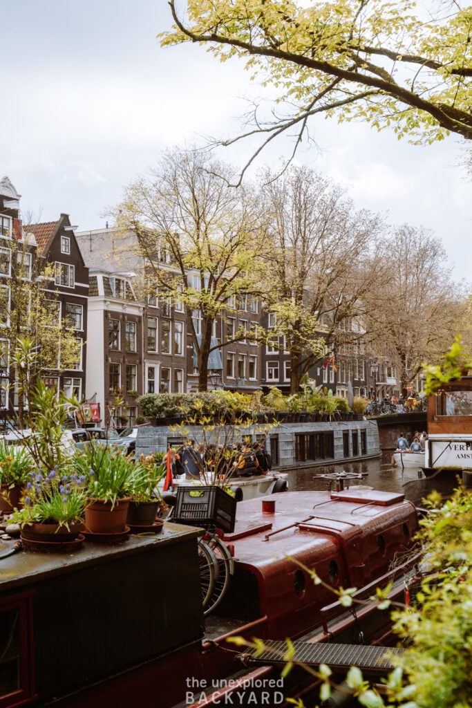 one week in the netherlands
