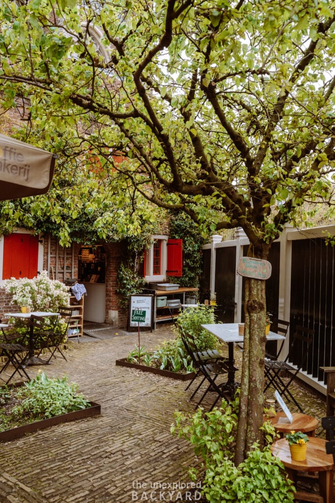 things to do in amsterdam
