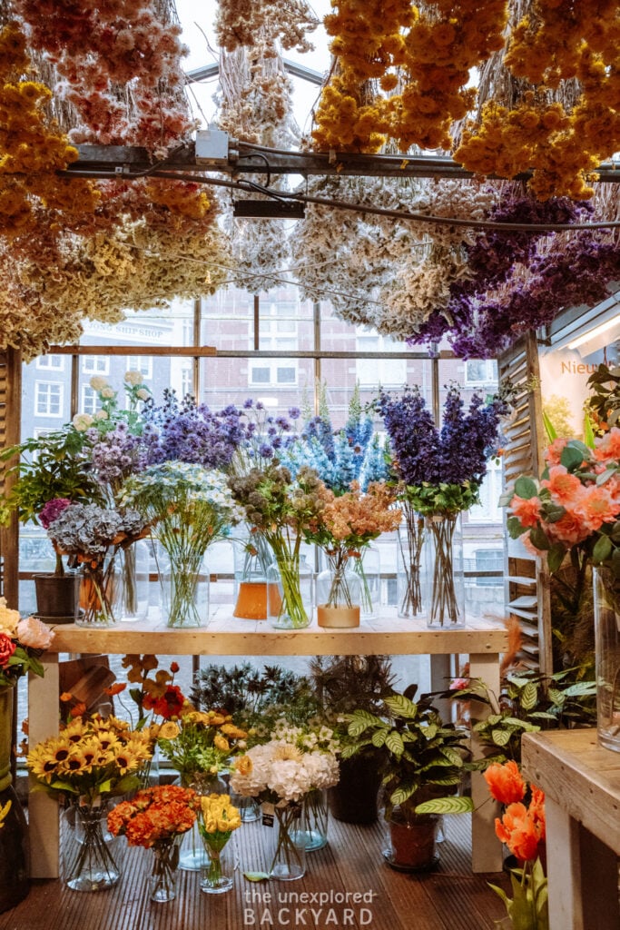 bloemenmarkt amsterdam
