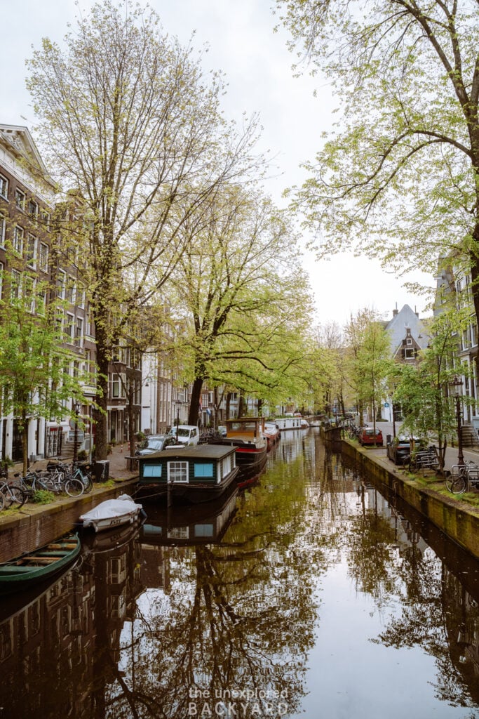 one week in the netherlands