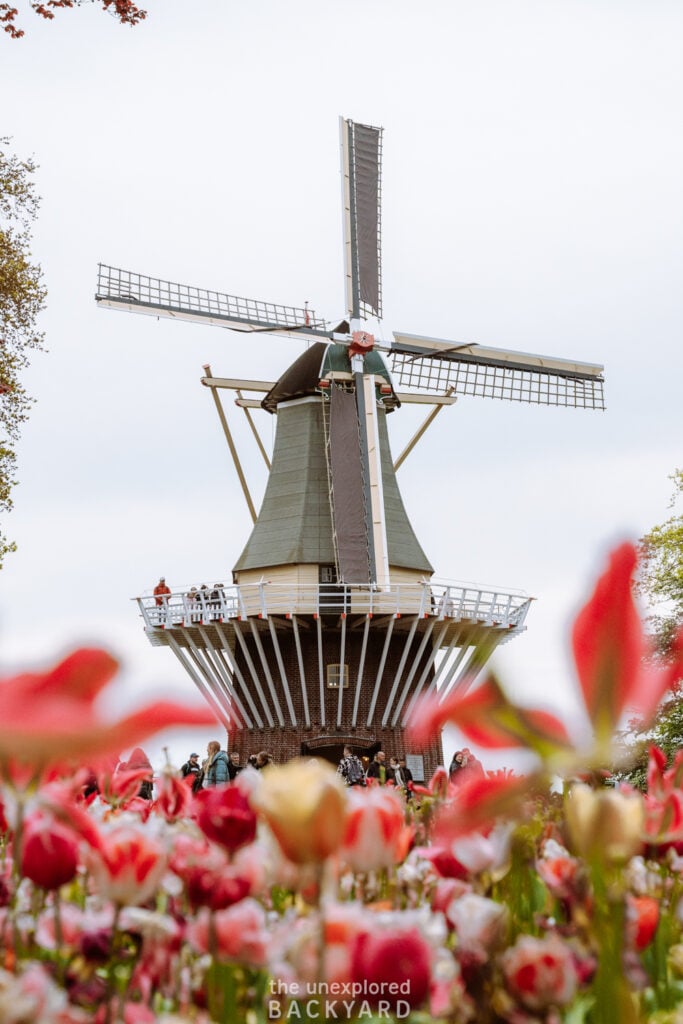 keukenhof gardens