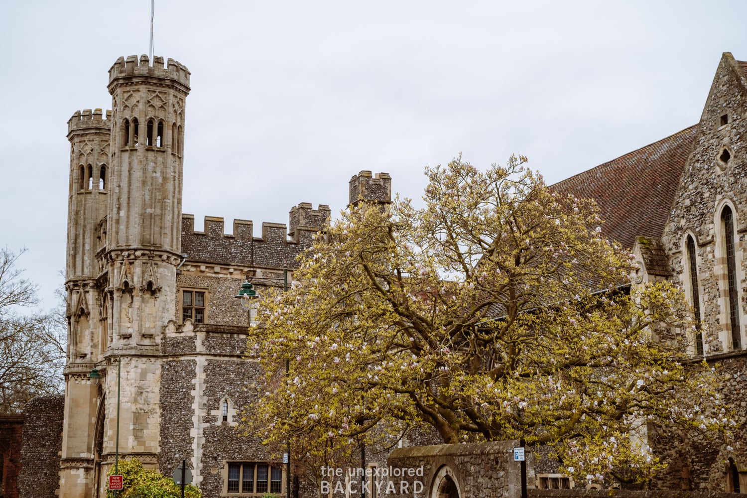 things to do in canterbury