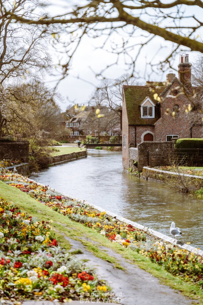 things to do in canterbury