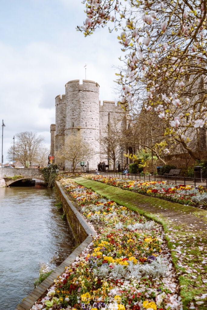 things to do in canterbury