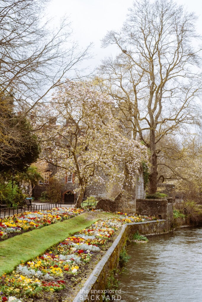 things to do in canterbury