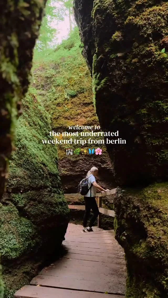 tap for the full weekend itinerary 💫

save for future planning 😇

while it seems like a lot of stops, many of these places are really close to each other so it’s easy to see a lot in a day 🌿

this weekend trip includes spots from both harz and hainich, and fits a long weekend itinerary best, but if you’re short on time simply pick your favorites and customize it to your likes 🦋

✨ THURSDAY ✨

🚗 drive from berlin to hainich national park 
🏰 explore altenstein castle (insanely underrated!) 

✨ FRIDAY ✨ 

🏰 visit wartburg castle
🍃 hike drachenschlucht 
(I recommend taking the 15 km loop trail going through both of these spots from eisenach)

📸 visit hohnstein castle ruins
🏡 spend the evening in stolberg (aka the prettiest village in the harz) 

✨ SATURDAY ✨

⛪️ check out gustav adolf stave church 
🦋 spend a few hours exploring goslar 
🌿 check out radau waterfall 
📸 hike up to the viewpoint over wernigerode castle 
🌞 then explore the stunning village of wernigerode 
🪼 finish your day relaxing at blauer see

✨ SUNDAY ✨

⛰️ start the day exploring bodetal
🍄do the short hike to see the iconic teufelsmauer 
🌷spend a few hours in the beautiful village of quedlinburg 
🏰 then check out regenstein castle 
💭 lastly explore the blankenburg sand caves

this is seriously such an underrated part of germany but it’s filled with such cute gems 🥺

follow for more tips around my backyard (europe)🥰

#germanytravel #harzmountains #harz #harznationalpark #hainich 

weekend trip in Germany • weekend trip from berlin • visit harz mountains • visit hainich • harz national park • harz mountains germany • harz travel itinerary • harz travel