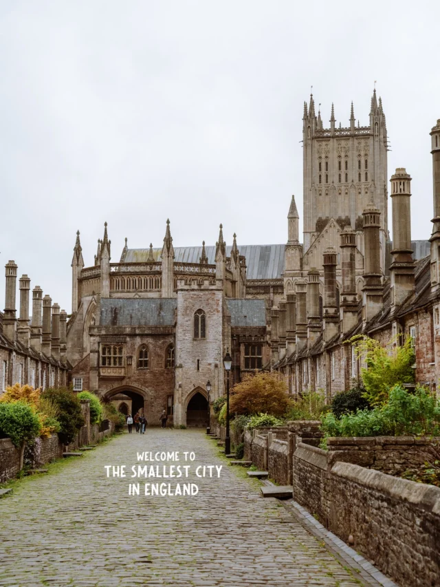 tap for the location and how to visit 💫

save for future planning 😇

while it may be England smallest city, it’s by far one of the most beautiful ones I have been to 🥺

location ✨
📍wells, somerset 

you can easily visit as a day trip from bath making it the perfect addition to a weekend trip to the area 📸

to get here simply take bus 173 or 174 from bath bus station and you will arrive after 1.5 hours 🚌

must see spots ✨
📍vicar’s close

a stunning street which also happens to be the oldest residential street in Europe 🏡

📍 the bishops palace and gardens 

the palace has a fun interactive museum and the gardens are seriously stunning 🍃

📍wells cathedral 

probably one of the prettiest cathedrals I’ve even been to 😍

I highly recommend getting a combo ticket for the cathedral and palace (+ gardens) - trust me both spots are SO worth it 💌

price for a combined ticket it £22 💸

don’t forget to also explore the city center of wells it’s very cute too 🌷

follow for more tips around my backyard (europe) 🥰

#wells #wellssomerset #visitwells #wellscathedral #bishopspalace 

visit wells • wells somerset • smallest city in England • wells cathedral • wells bishops palace • wells England • things to do in wells • wells travel guide • wells travel itinerary •