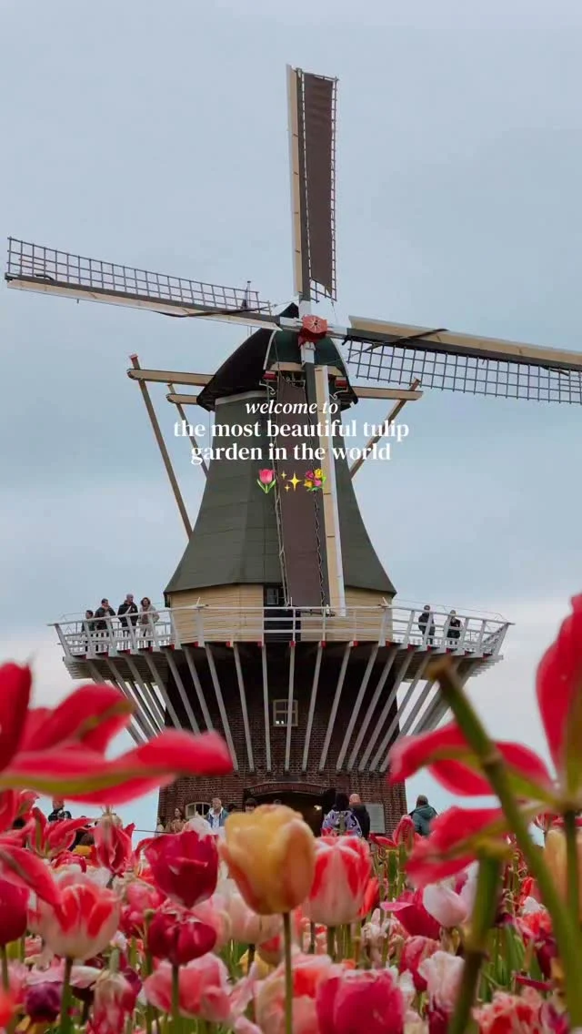tap for the location and everything you need to know 💫

send this reel to someone you want to go to the netherlands for tulip season with 💐

comment “LINK” to get the link to my full guide for visiting keukenhof gardens! 🌷

this garden is definitely popular but I think it is SO beautiful 🥺

disclaimer: in general please never walk onto a field without the farmers permission, and never step on the flowers as they are peoples livelihood 💌

location✨
📍keukenhof, the netherlands 

everything you need to know about visiting ✨

⌛️opening times: keukenhof is open seasonally between March 19 through May 10 and the opening hours are 8:00 am to 7:00 pm 

🚍how to get here: the park offers shuttle services to several big cities in the area including Amsterdam, Schiphol Airport, Leiden, and Haarlem meaning that if you buy a combi-ticket you don’t have to worry about transportation 

💸what does it cost: 
€21 for adults online
€25 for adults at the ticket office
€10 for children between 4-17 
free for children under 3
€38.5 for a combi ticket with a shuttle back and forth

🌞when to arrive: as you can probably imagine it is HIGHLY recommended to arrive as early as possible as it’s busy already by 10 am

📸where to go first: my two favorite spots in the park are written below so you can go there first before it gets busy

📍keukenhofmolen (the windmill)
📍the little lake at the bottom left of the park (52.2674091, 4.5474774)

🍟should you bring food: the food halls here are not highly rated but the park also has food trucks which offer delicious food (including vegan options🌱)

💐exploring lisse: make sure to explore the lisse area outside of keukenhof during your visit as there are lots of traditional tulip fields in the area

🚲renting a bike: you can rent a bike at the rent-a-bike booth outside the entrance to keukenhof

comment “LINK” for the ultimate guide for visiting keukenhof gardens 💐

follow for more tips around my backyard (europe)🥰

#keukenhof #keukenhofgardens #tulipseason #tulipfields #lisse 

tulip season • tulip season in the netherlands • keukenhof gardens • keukenhof tulips • visit Lisse • visit the netherlands • Keukenhof gardens 2026 •