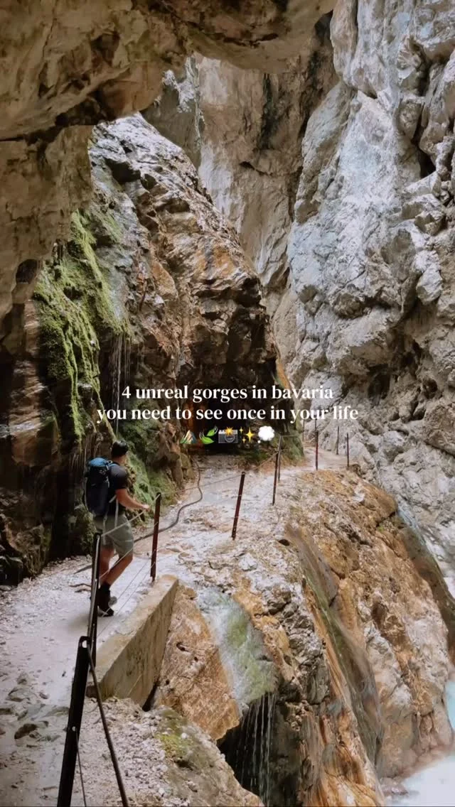tap for the locations and how to visit 💫

save for future planning 😇

these are seriously some stunning spots, and while they all have an entrance fee, I definitely think it’s worth it for all of the work that goes into maintaining these paths 🌿

additionally, I highly recommend visiting all 4 of these because each one offers a really unique experience that makes you appreciate how special this earth is 🥺

4 incredible gorges in Bavaria ✨

📍breitachklamm

⏳open in summer and winter with typical opening hours being 9-5 (may change)

🧚🏼‍♀️ how to visit
park at parkplatz breitachklamm just outside of Oberstdorf and follow the stream to the gorge, entrance costs 7€

📍wimbachklamm

⏳ open from mid April to October from 7am to 19 pm

🧚🏼‍♀️ how to visit 
park at “parkplatz wimbachbrücke” and follow the signs to wimbachklamm (it will take around 20 minutes), right before the entrance you will find a pay box to pay 2.5€ for the entrance (it only takes coins)

📍höllentalklamm

⏳ open from end of May - end of October (open 24/7 during this time)

🧚🏼‍♀️ how to visit
park at hammersbach and walk 20 minutes until you reach the entrance. It costs 6 euros to enter

📍partnachklamm 

⏳open all year round (can close due to bad weather) 
June to September 8 am to 20 pm
October to May 8 am to 6 pm

🧚🏼‍♀️ how to visit
park by the Olympic ski slopes in garmisch-partenkirchen and walk 20 minutes to reach the entrance of partnachklamm. There will a pay box by the entrance - it costs 7.5€ to enter (it takes cash and card)

follow for more tips around my backyard (europe)🥰

#visitbavaria #wimbachklamm #partnachklamm #höllentalklamm #bavariagermany 

things to do in Bavaria • best of Bavaria • beautiful destinations in Bavaria • must see in Bavaria • gorges in Bavaria • best of nature in Germany • must see bavaria • Bavarian nature • Bavaria Germany • wimbachklamm • höllentalklamm • partnachklamm • garmisch partenkirchen national park • Berchtesgaden national park • breitachklamm • Oberstdorf allgäu