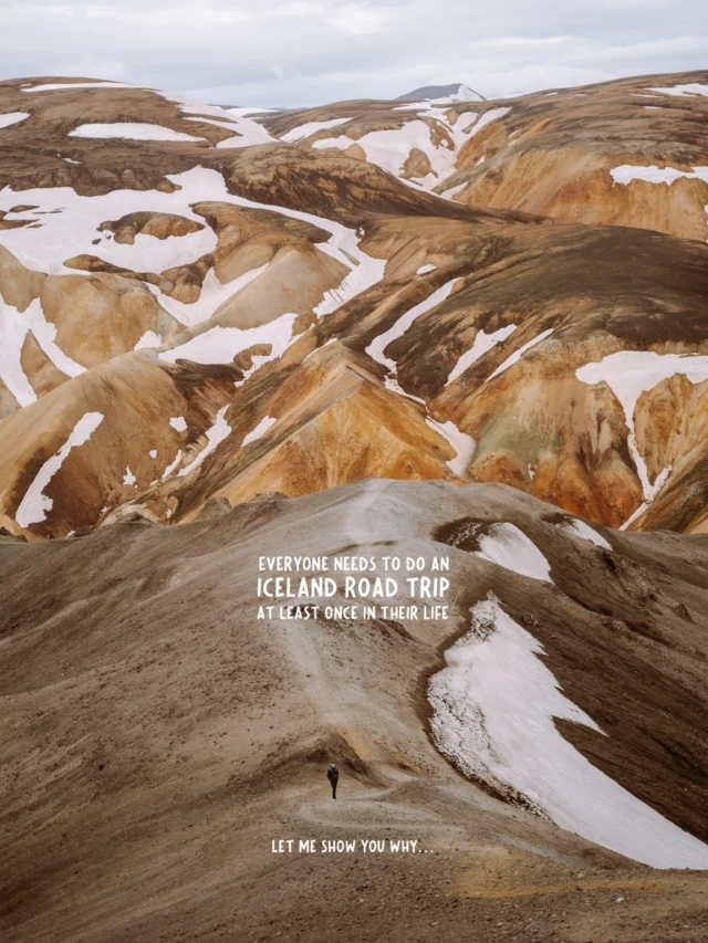 tap for the locations 💫

save for future planning 😇

iceland is by far the most unique destination that I have ever been to and the landscapes are truly incredible 🥹

so in case you are planning an upcoming trip this summer, or need some inspo for why you should visit - below are some of my favorite spots from the island in order of appearance 📸

before sharing all of the locations I just wanted to remind you all that the nature in iceland is extremely fragile - please always stay on the trails! 🌿

the icelandic moss that is so well known and beloved can take up to a hundred years to regrow when you step on it so please be mindful of that on your trips! 🍃

in addition, remember to leave no trash behind to keep these otherworldly landscapes as beautiful as you experience them 🧚🏼‍♀️

lastly, make sure to properly research each place you want to visit to make sure you know which vehicle you need to reach it (some of these spots require a 4x4), and whether there are weather restrictions, and other possible things to consider before attempting to visit 🌻

as always, let’s respect the nature and locals that are so gracious to share their beautiful country with tourists 💌

locations (in order of appearance) ✨

📍bláhnjúkur
📍stokksnes
📍þakgil campsite
📍landmannalaugar campsite
📍seljalandsfoss
📍sigoldufoss
📍heimaklettur
📍halldórsskora
📍landmannalaugar
📍stútur crater
📍mýrdalsjökull 
📍katla ice cave
📍reynisfjara black sand beach
📍stokksnes beach
📍borgarfjarðarhöfn
📍múlagljúfur
📍fjaðrárgljúfur
📍sigöldugljúfur

follow for more tips around my backyard (europe)🥰

#icelandroadtrip #icelandtrip #icelandnature #icelandlandscape #visiticeland 

visit iceland • iceland tourism • iceland road trip • iceland bucket list places • iceland travel inspiration • things to see in iceland • best views in iceland • unreal places in iceland • iceland travel itinerary • iceland travel guide • best of iceland • Icelandic summer • summer in iceland travel guide •