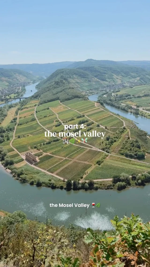 tap for the ultimate weekend guide to germany’s prettiest wine region 💫

save for future planning 😇

welcome to ✨
📍the mosel valley, rhineland-palatinate

the mosel valley offers the perfect combination of unique vineyards, stunning villages, nature views, and hiking trails 🍷🧚🏼‍♀️

ps. this is the perfect car-free destination with great public transport options to the villages! 🚂

pro tip: I recommend basing yourself in cochem as it’s central, has a lively and beautiful town center, and a good train and bus network! 🚌

✨ ultimate weekend itinerary Mosel Valley, Germany ✨

🍃 day 1 🍃

🌿 take the train from cochem to ediger-eller to hike the calmont klettersteig route from ediger-eller to bremm

🥾note: please wear proper shoes here as it’s difficult in some sections and fairly exposed so you want good grip! 

🪜Additionally it’s called a via feratta but you don’t need any equipment, but there will be ladder and chained sections so sure footedness and confidence with these sections is important! 

🗺️ if unsure you can also find a less exposed route to the main viewpoint at bremmer gipfelkreuz 

🚌 take the 711 or 710 bus from bremm to ellenz-poltersdorf moselfähre and take the small boat crossing to beilstein 

🏡 explore the picturesque village of beilstein
📍marktplatz 
📍burg metternich 
📍winzerschenke 
📍aussichtspunkt “beilstein” 

🍃 day 2 🍃

🚂 take the train from cochem to traben-trarbach (switch at bullay)

🛥️ take a river cruise to bernkastel-keus (2 hours each way) ~€26 euro total 

🎟️ ps. check the schedule beforehand

📸 explore bernkastel-keus
⚓️ take river cruise back and explore traben-trarbach

🍃 day 3 🍃

🚌 take the train from cochem to  hatzenport then switch to bus 365 to burg eltz 

🌿 alternatively take the train to moselkern and hike from there 

🏰 explore burg eltz (arrive around 8:30 to beat the crowds) 
🧚🏼‍♀️ head back to cochem to explore
📍skagerak-brücke
📍moselpromenade
📍aussichtspunkt reichburg cochem
📍aussichtspunkt “am tummelchen” 
📍pinnerkreuz
📍marktplatz
📍bernstraße 
📍reich