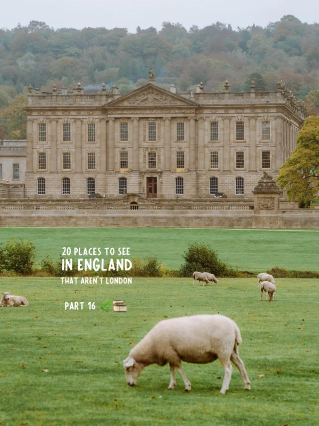PART 16: 20 places to see in england that aren’t london 💫

save for future planning 😇

welcome to england’s most stately (and beloved) home🏰

location ✨
📍chatsworth house, peak district

 chatsworth house is special for its long royal history, impressive private art collection, and famous film appearances (like being the home of mr. darcy in pride and prejudice) 🎞️

🍂 it is the perfect all year destination, but I think it’s especially beautiful in autumn 

you can get here in just under two hours from manchester and in an hour from sheffield! 🚂

for the perfect day trip I recommend combining a trip with bakewell, but even better if you can spend a few days exploring the beautiful peak district 🌿

✨ prices and opening times ✨

🏰 house open from 10:30 to 16:30
🌿 garden open from 10:30 to 17:00
🚗 car park open from 9:00 to 18:00

💸 £35 per adult and £12 per child for house and garden (car park included but book online) 

ps. prices may be cheaper in shoulder seasons

✨ how to get to chatsworth house ✨

🚂 from manchester: train from manchester piccadilly to dore & totley then switch to bus 218 toward bakewell getting off at chatsworth house

🚌 from sheffield: take bus 218 toward bakewell getting off at chatsworth house

✨ places not to miss at chatsworth house ✨
📍the painted hall (go here first as it can get very busy)
📍the sculpture gallery
📍the chapel corridor
📍the library
📍the south sketch gallery 
📍the state apartments 
📍the great dining room
📍the oak room

🌿 make sure to also spend time exploring the 105 acre garden as well as the general estate where you will find hundreds of free roaming sheep 

follow for more tips around my backyard (europe) 🥰

#chatsworth #chatsworthhouse #chatsworthgardens #peakdistrictnationalpark #peakdistrict 

visit chatsworth house • chatsworth house England • chatsworth house travel guide • chatsworth house Peak District • things to do in the Peak District • Peak District England •